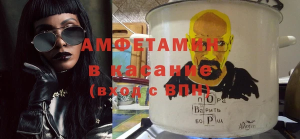 молекула духа Вяземский