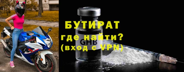 молекула духа Вяземский