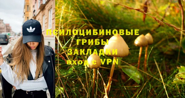 молекула духа Вяземский