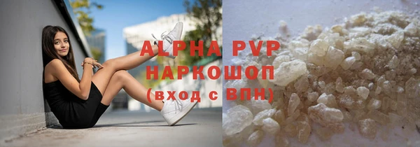 молекула духа Вяземский