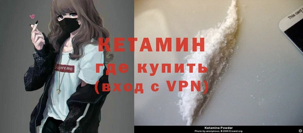 молекула духа Вяземский