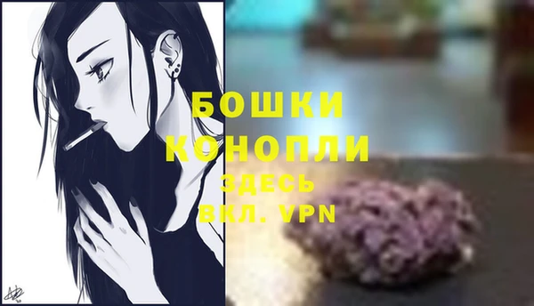 молекула духа Вяземский