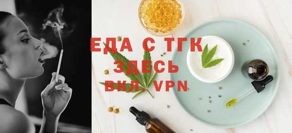 молекула духа Вяземский