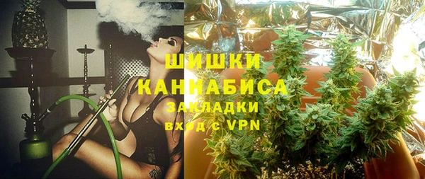 молекула духа Вяземский