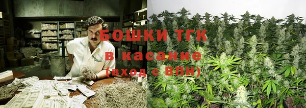 молекула духа Вяземский