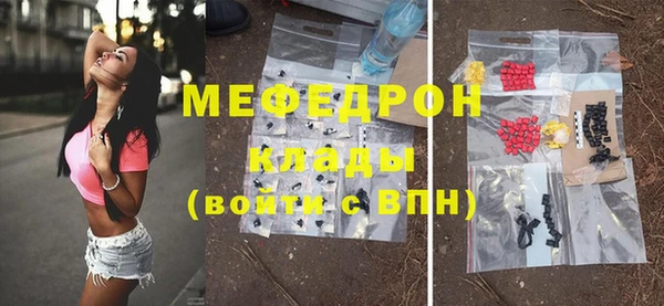 молекула духа Вяземский