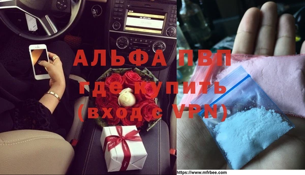молекула духа Вяземский
