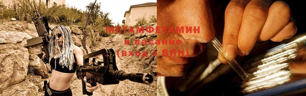 молекула духа Вяземский