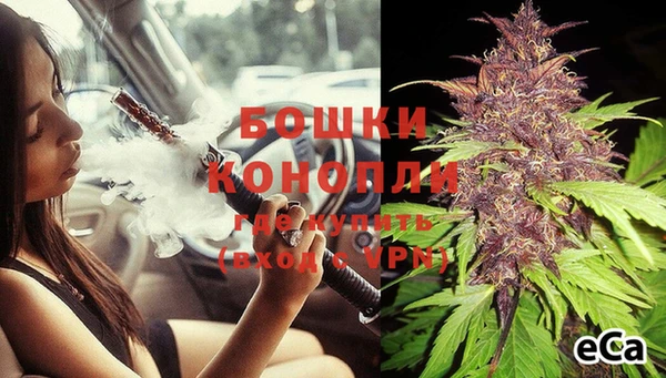 молекула духа Вяземский
