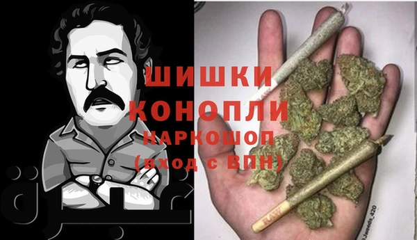 молекула духа Вяземский