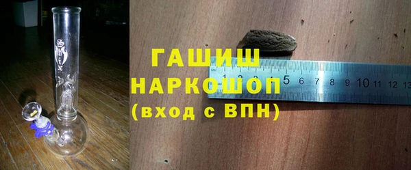 молекула духа Вяземский