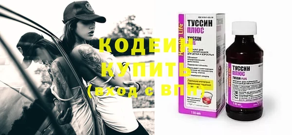 молекула духа Вяземский