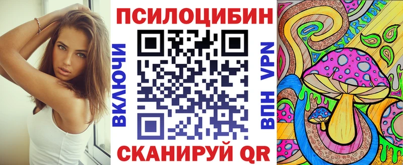 Псилоцибиновые грибы мухоморы  Купить закладки  Верхняя Пышма 